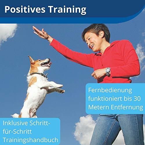 Image du produit PetSafe Traiter et former