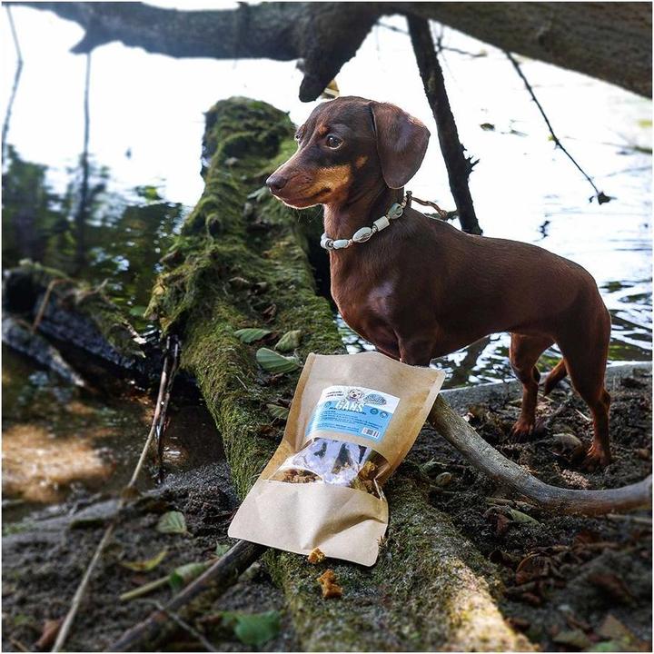 Produktbild Sollis Mini-Fleischwürfel Gans 100g (Adult, 100 g)