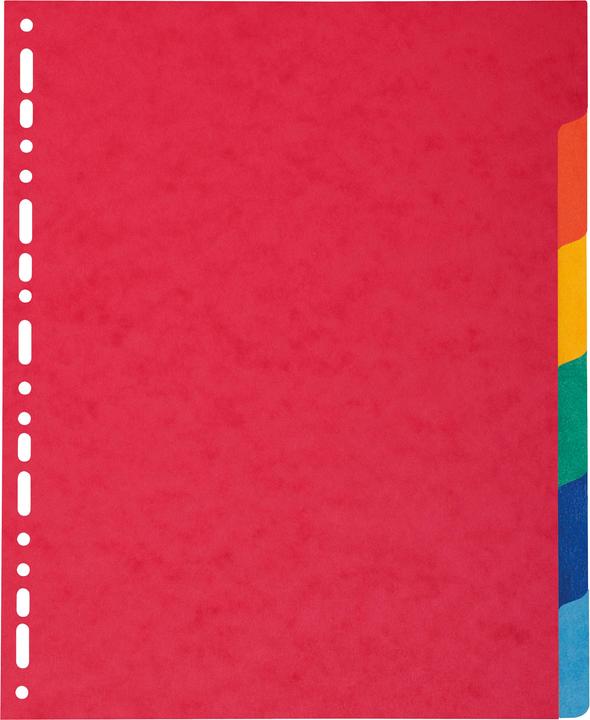 Produktbild Exacompta Blanko-Register - Karton