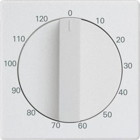 Actual product image Busch-Jaeger Central disc