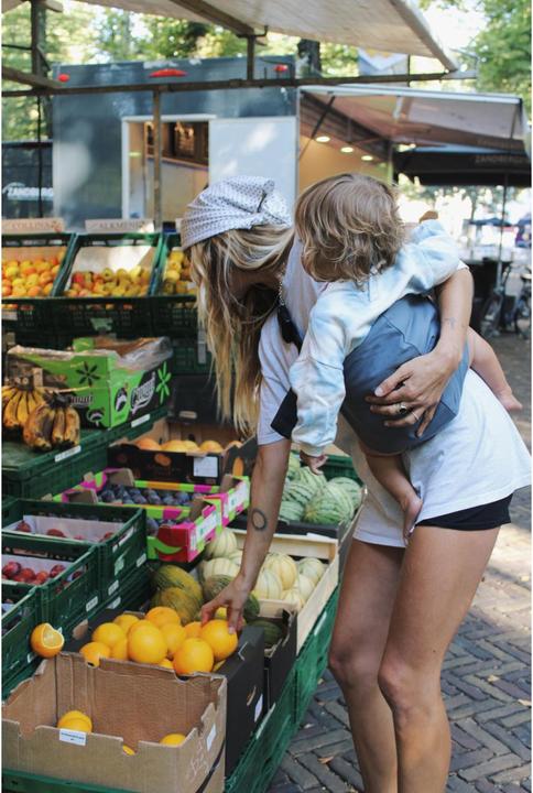 Actual product image Wildride Toddler Carrier