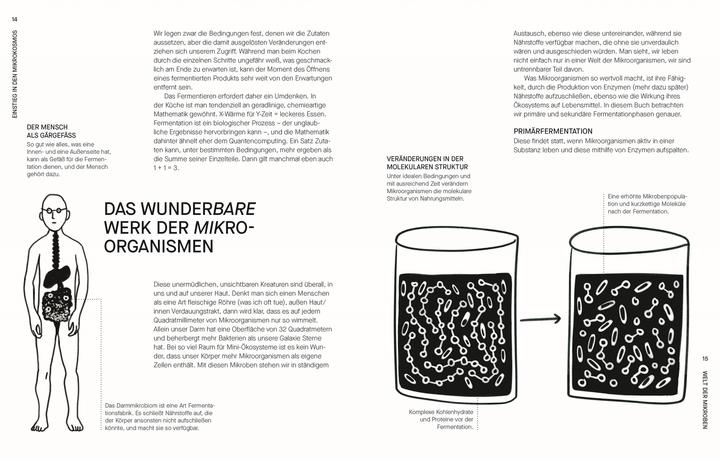 Produktbild Fermentieren. Rezepte und Techniken für Geschmack, den man nicht kaufen kann (Deutsch, Sam Cooper, 2025)