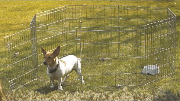 Produktbild Savic DOG PARK 1 61x61 cm, sort (Hund)