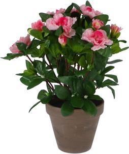 Image du produit edelman Azalée artificielle Rosa en pot