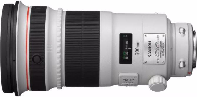 Produktbild Canon EF 300mm f/2.8L IS II USM (Canon EF, APS-C / DX, Vollformat)