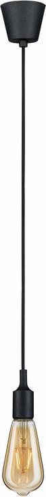 Productafbeelding Paulmann 1879 Gloeidraadzuiger ST64 (E27, 2.50 W, 150 lm, 1 x)