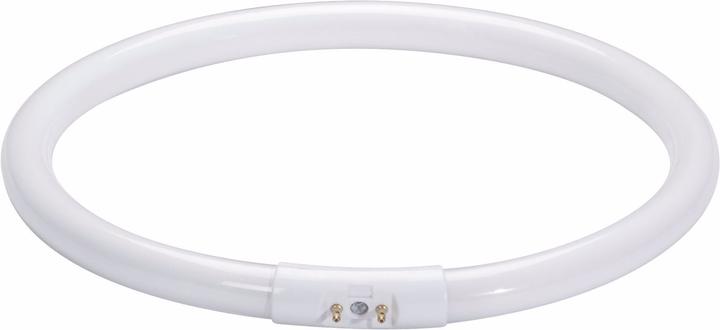 Produktbild Paulmann Röhre-Ringform T6 (2GX13, 1720 lm, 1x)