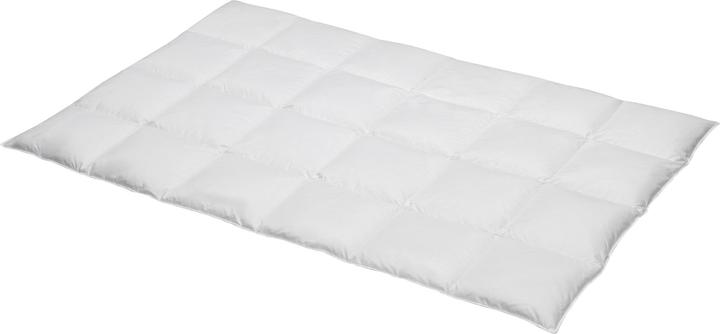 Immagine prodotto Erwin Müller Toronto (830 g, 200x200 cm)