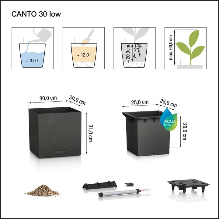 Image du produit Lechuza Canto Color Cube (30 x 30 x 30 cm)