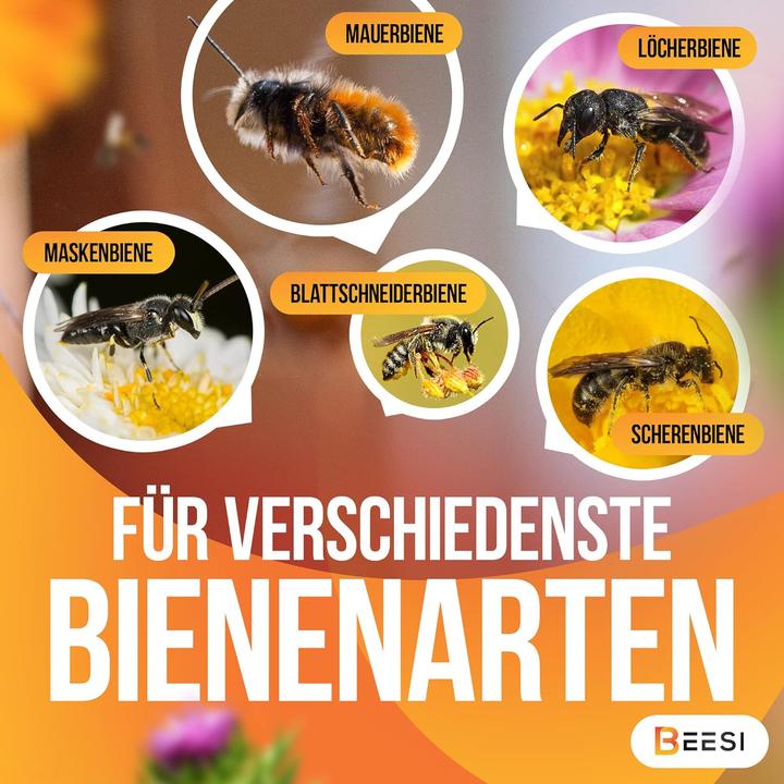 Actual product image Beesi Nisthülsen (Wild bees)