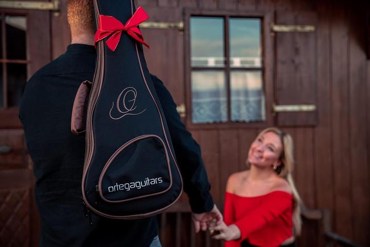 Actual product image Ortega Art Series (Concert)