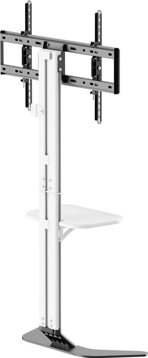 Actual product image SpeaKa Professional SP-TVS-600 TV-Standfuss Höhenverstellbar 94,0 cm (37") - 218 (86", 45 kg)