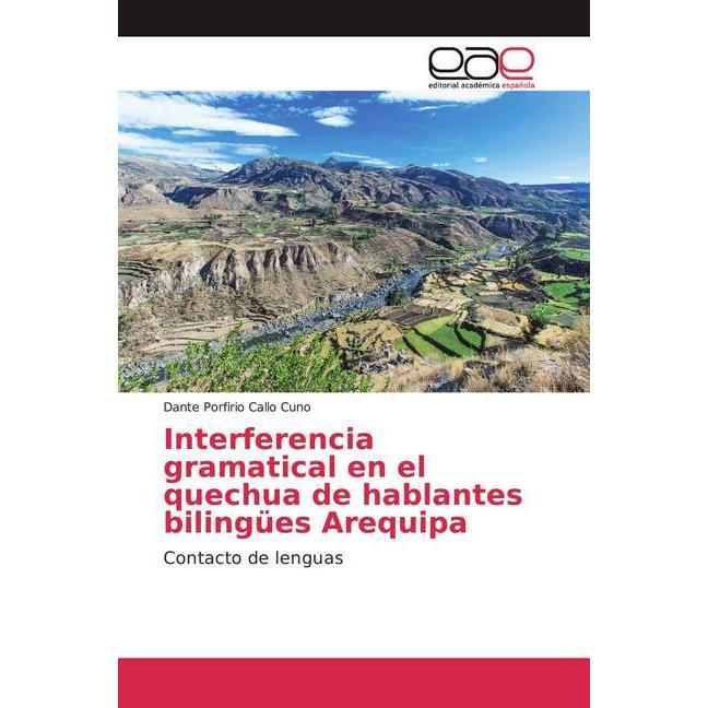 Interferencia gramatical en el quechua de hablantes bilingües Arequipa, Fachbücher von Dante Porfirio Callo Cuno