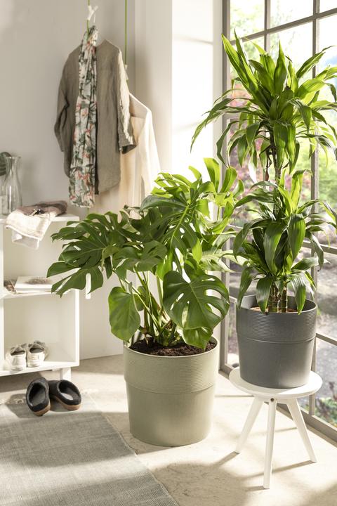 Actual product image Scheurich Groove 17, flower pot/planter, round, colour: khaki, made with recycled plastic. (17 cm)
