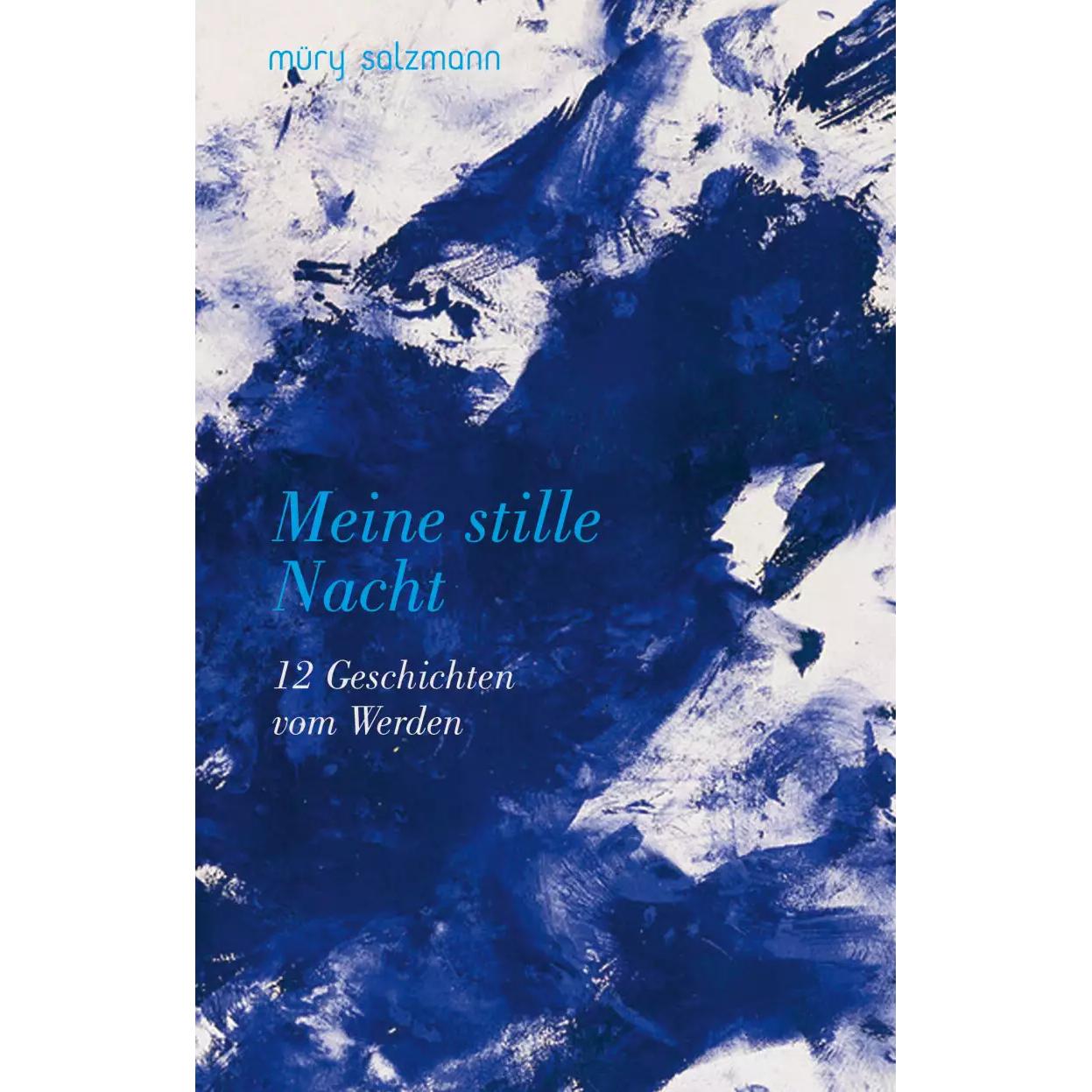 Meine stille Nacht, Belletristik von Friedrich Ani