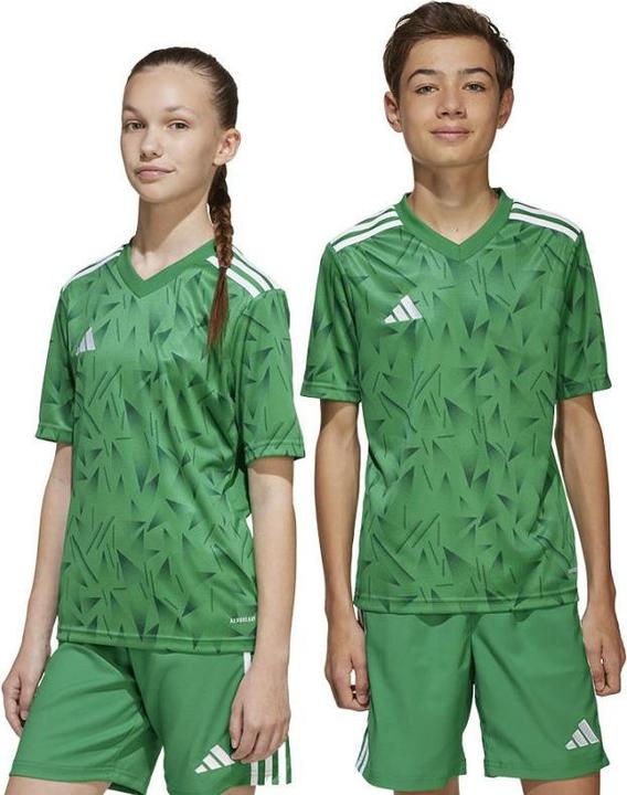 Produktbild adidas Team Icon 25 Trikot Kids (164)
