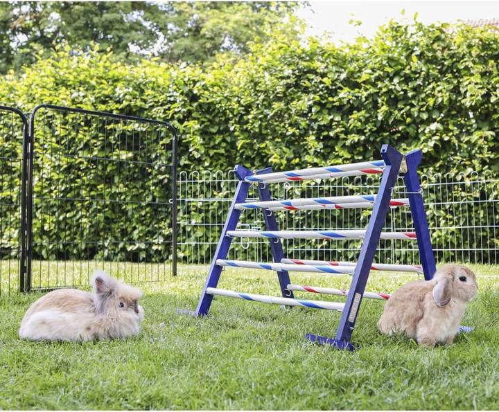 Actual product image Kerbl Combi jump (Agility)