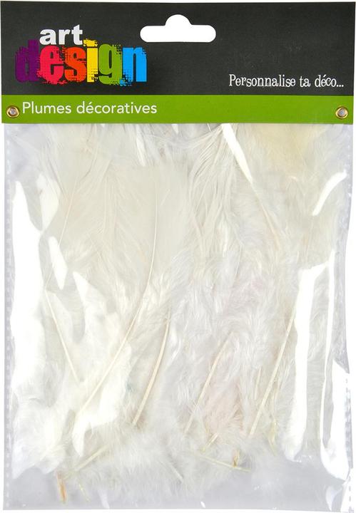 Actual product image Natura Punto 35 soft craft feathers, white, length 17 cm