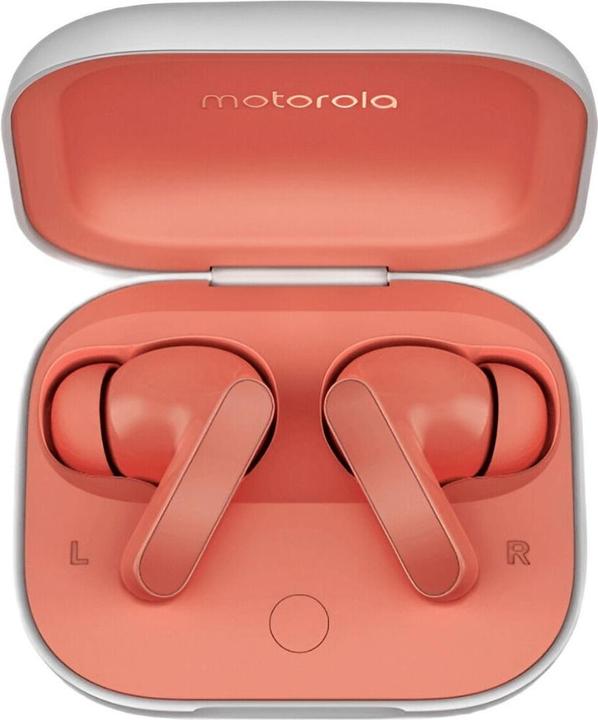 Actual product image Motorola moto buds (ANC, 9 h, Wireless)