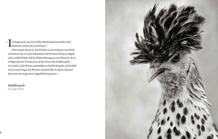 Produktbild Literarische Hühner (Deutsch, Beth Moon, 2018)