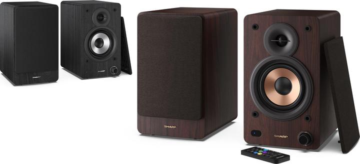 Actual product image Sharp CP-SS30 (1 pair, 60 W)