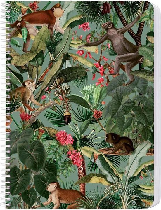 Actual product image Cedon Monkey (Dotted, Hardcover)