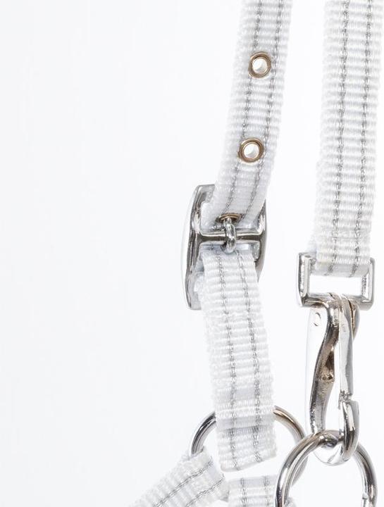 Immagine prodotto Kavalkade Cavezza per puledri e yearling