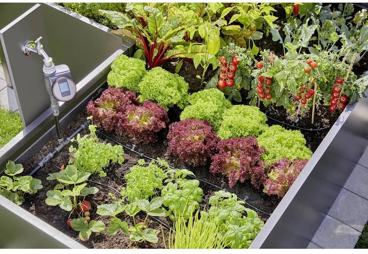 Image du produit Gardena Kit système Micro-Drip pour plate-bande/parterre surélevé (Kit d'irrigation goutte à goutte)