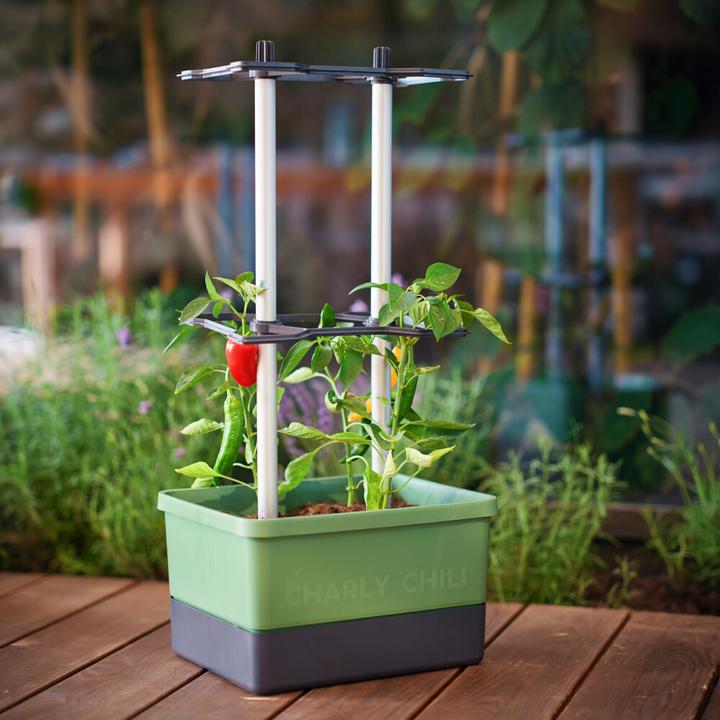 Produktbild Gusta Garden Charly Chili (27.50 cm)