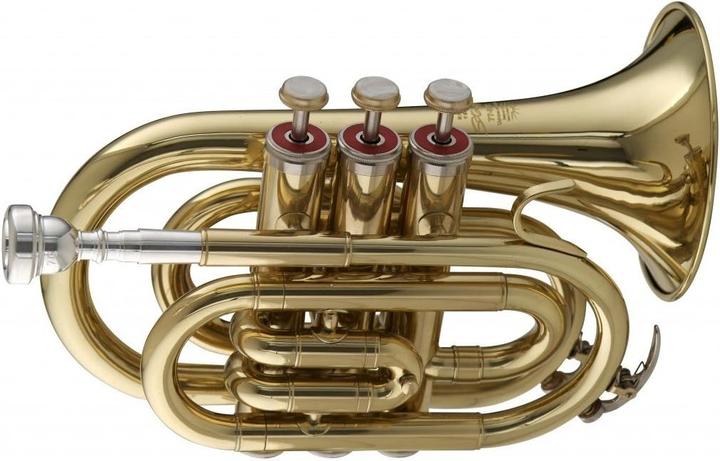 Produktbild Stagg WS TR245 Bb Pocket Trumpet with Case (Trompete, Gerade)