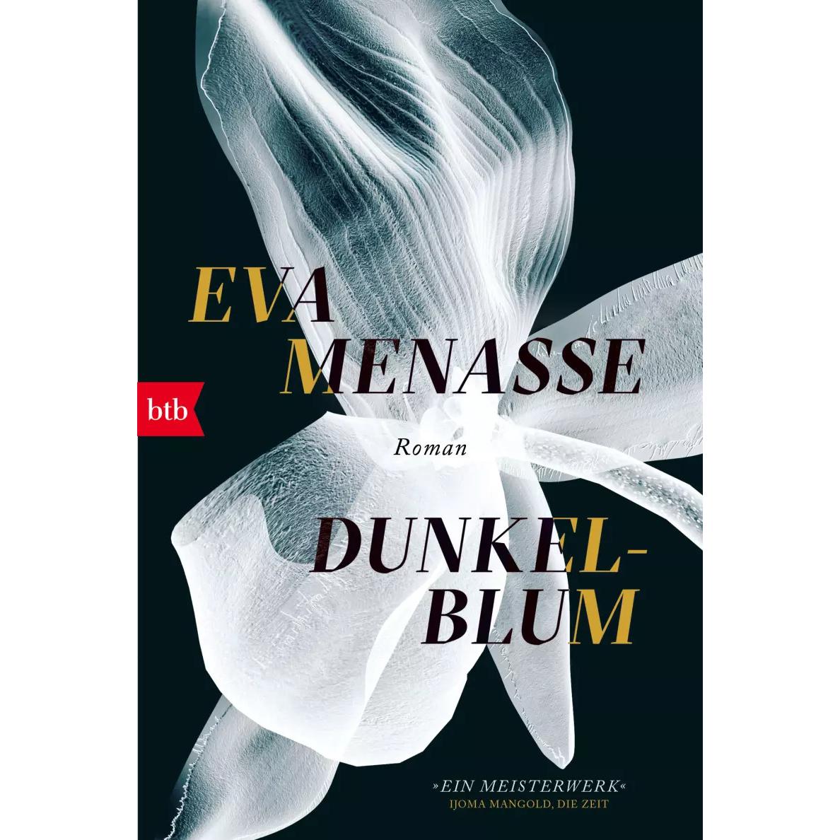 Dunkelblum, Belletristik von Eva Menasse