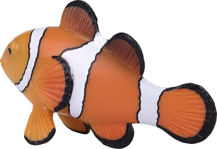 Actual product image Mojo Clownfish