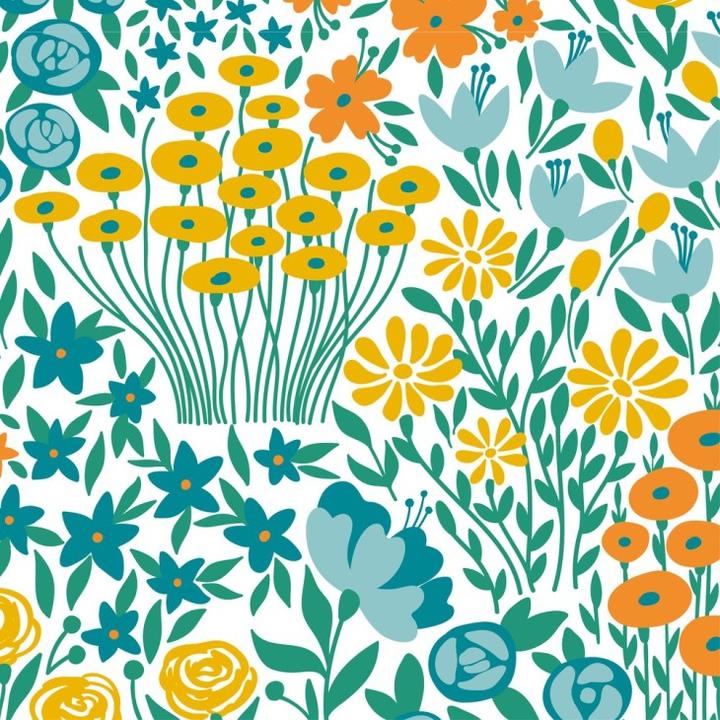 Immagine prodotto Clairefontaine Rotoli di carta da regalo Excellia (Carta da regalo)