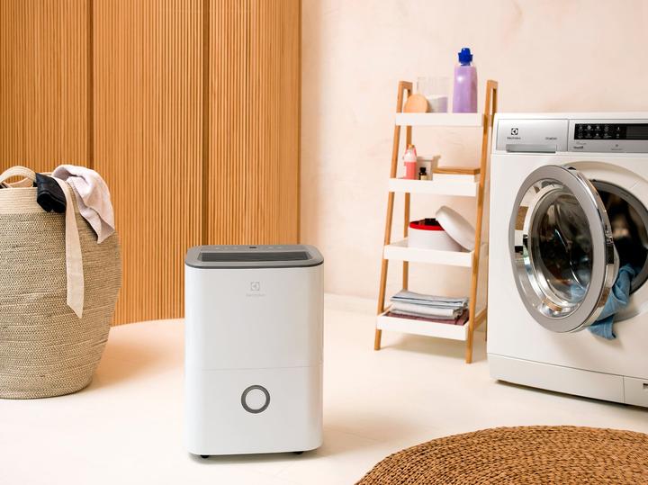 Actual product image Electrolux Ambiflex Green (52 m², 20 l/24h)