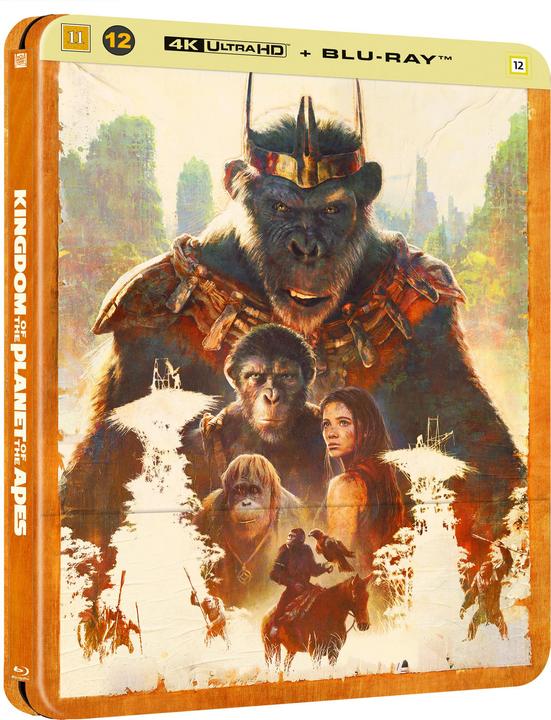 Disney Koninkrijk Van De Apenplaneet