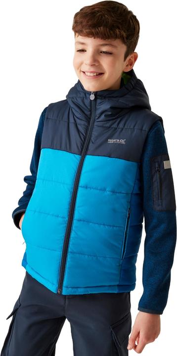 Actual product image Regatta Childrens/Kids Lofthouse II Gilet (164)