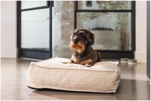 Produktbild Designed by Lotte Ribbed (Hund)
