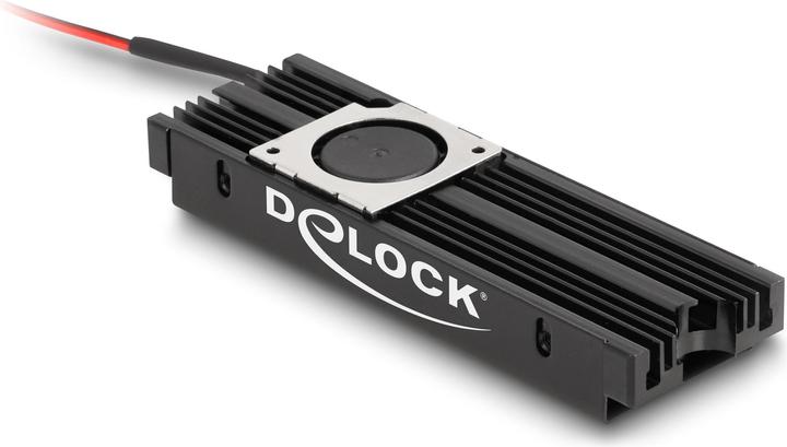 Delock Dissipateur thermique avec ventilateur pour SSD M.2 2280 noir