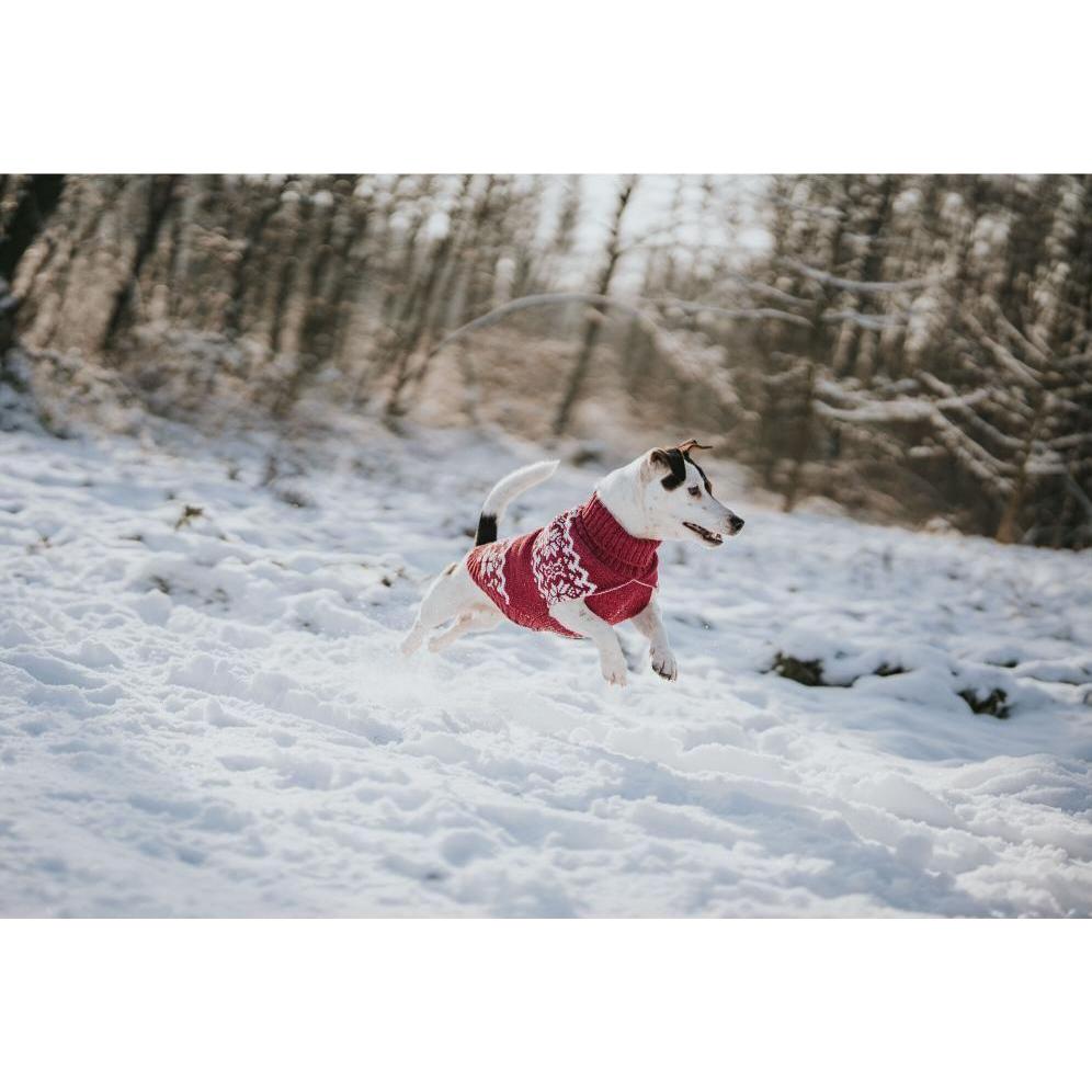 Thumbnail - Hunter Dogcoat Birka 35, red - (203470) (35, Hundepullover), Hundebekleidung