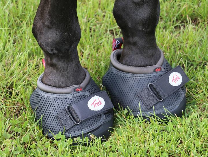 Actual product image Cavallo Hoof shoes Trek Slim (pair)