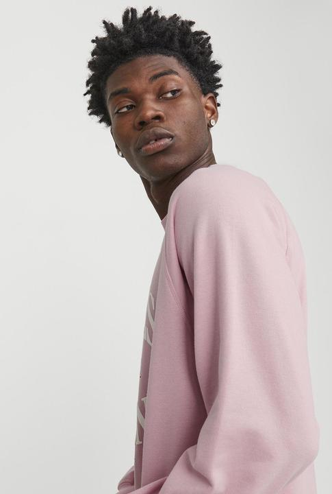 Produktbild Jack & Jones Gedruckt Sweatshirt mit Rundhals Sweatshirt mit Rundhals (S)