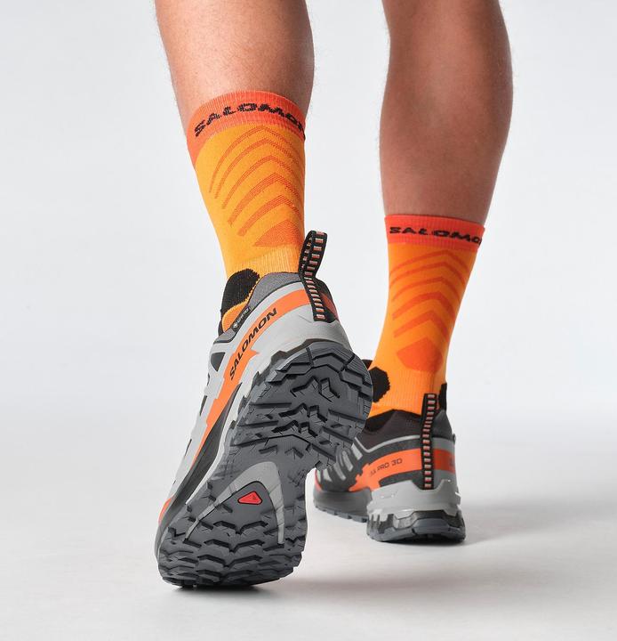 Image du produit Salomon XA Pro 3D V9 GTX (46 2/3)