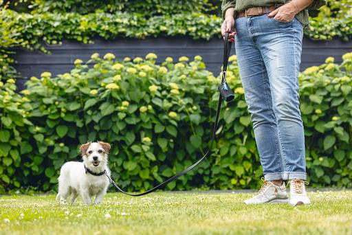 Produktbild Beeztees BZ BALACRON LEINE AX BRN 100X1 (100, Hund, Hundesport)