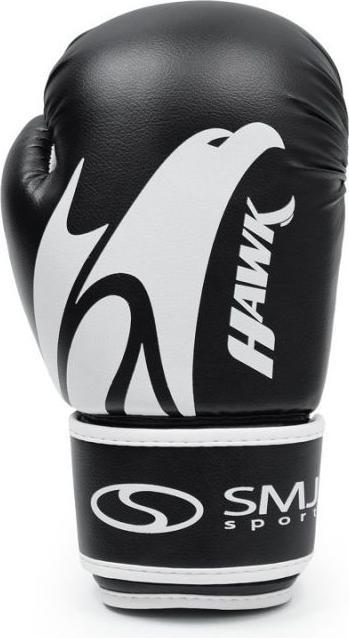Produktbild Smj Hawk Boxhandschuhe HS-TNK-000011204