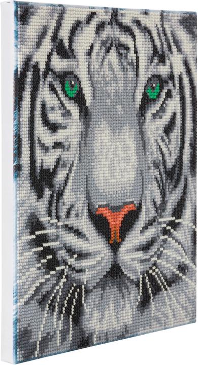 Actual product image Craft Buddy White Tiger