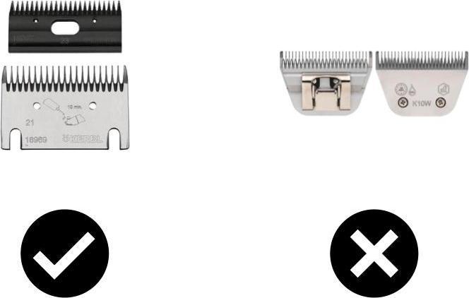 Produktbild Hauptner Vieh-Pferdeschermesser Schleifen inkl. Rückversand (1 Stk.)
