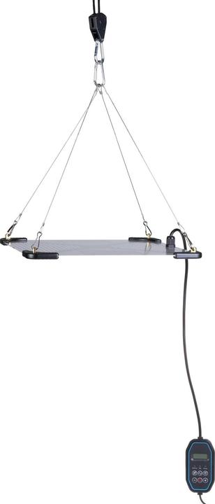 Actual product image FTM Pendant light Plant lamp full spectrum (LED)