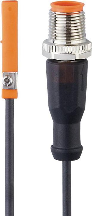 Actual product image IFM Cylinder sensor
