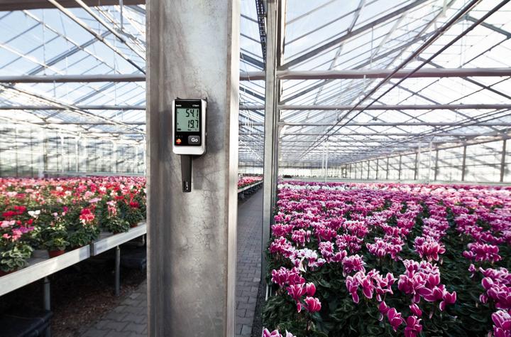 Actual product image Testo 175 H1