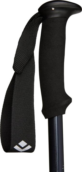 Produktbild Black Diamond Explorer 2 (100 - 140 cm)